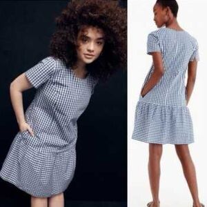 Universal Standard for J Crew Poplin Drop Waist Dress Gingham Blue White